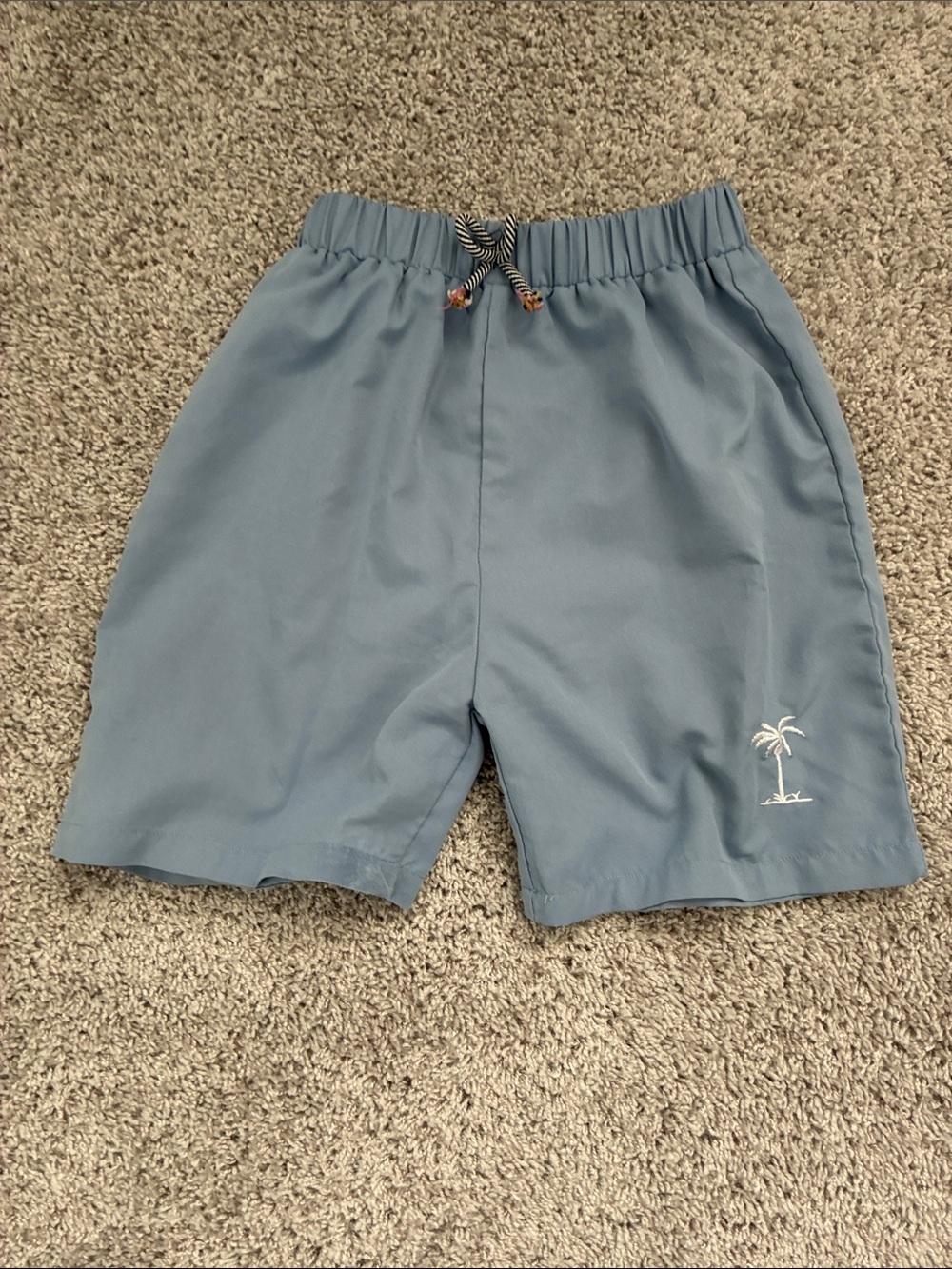 Men's Blue Elastic Waist Swim Shorts with Palm Embroidery